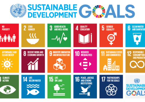 787px-Sustainable_Development_Goals